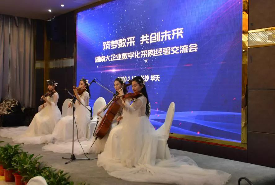 圣澳威斯憑行業優勢，助力湖南大企業數字化采購蓬勃發展